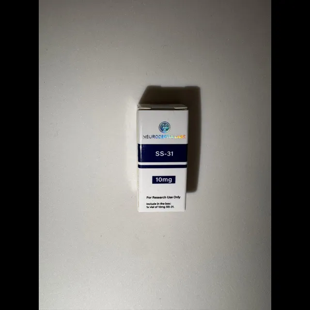 SS31